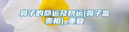 鼻子的命运及财运(鼻子富贵相)_重复