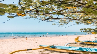 87年2020年属兔人的全年运势(87年属兔人2020年的运势)