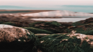 带缘分的42种梦境(有缘分的人42解梦)_重复