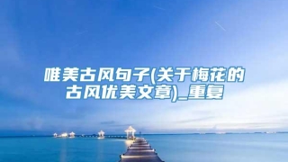 唯美古风句子(关于梅花的古风优美文章)_重复