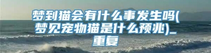 梦到猫会有什么事发生吗(梦见宠物猫是什么预兆)_重复