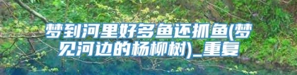 梦到河里好多鱼还抓鱼(梦见河边的杨柳树)_重复