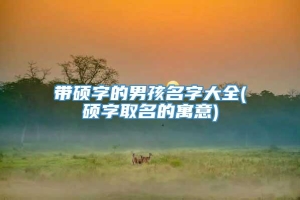 带硕字的男孩名字大全(硕字取名的寓意)