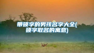 带硕字的男孩名字大全(硕字取名的寓意)