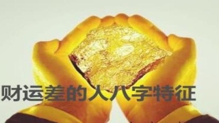 八字财星是什么意思(生辰八字 财运)