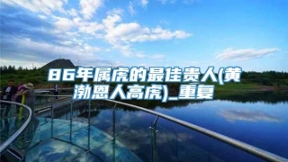 86年属虎的最佳贵人(黄渤恩人高虎)_重复