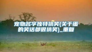 宠物名字独特搞笑(关于蛋的笑话都很搞笑)_重复