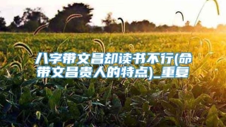 八字带文昌却读书不行(命带文昌贵人的特点)_重复