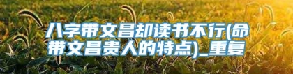 八字带文昌却读书不行(命带文昌贵人的特点)_重复