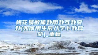 梅花易数体卦用卦互卦变卦(如何用生辰八字卜卦算命)_重复