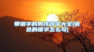 带银字的男孩名字大全(银色的银字怎么写)