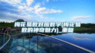 梅花易数对应数字(梅花易数的神奇魅力)_重复