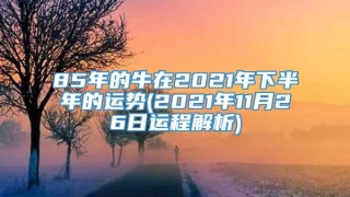 85年的牛在2021年下半年的运势(2021年11月26日运程解析)