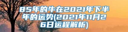 85年的牛在2021年下半年的运势(2021年11月26日运程解析)