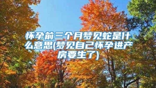 怀孕前三个月梦见蛇是什么意思(梦见自己怀孕进产房要生了)