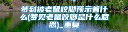 梦到被老鼠咬脚预示着什么(梦见老鼠咬脚是什么意思)_重复