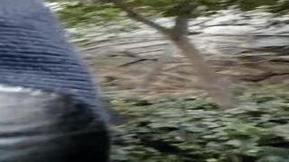 摆摊算卦犯法吗(“哑巴大师”街头免费算命)