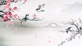 4在易经代表什么(与“四”有关的文学常识)_重复