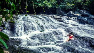 87年1月属虎人婚配(属兔的做什么生意赚钱)