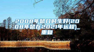 2008年鼠几时生好(2008年鼠在2021年运程)_重复
