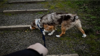 2022年1月28日出生的男孩起名(2021年1月28日出生)_重复