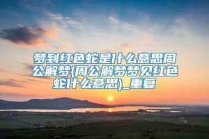 梦到红色蛇是什么意思周公解梦(周公解梦梦见红色蛇什么意思)_重复