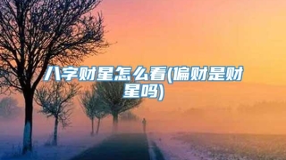 八字财星怎么看(偏财是财星吗)