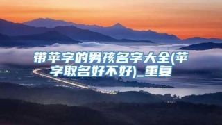 带苹字的男孩名字大全(苹字取名好不好)_重复