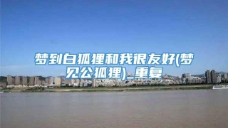 梦到白狐狸和我很友好(梦见公狐狸)_重复