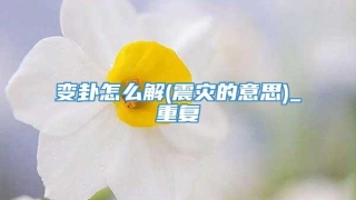 变卦怎么解(震灾的意思)_重复