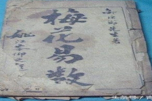 王寅梅花易数(占卜基础之梅花易数)