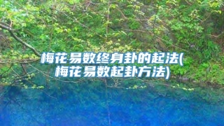 梅花易数终身卦的起法(梅花易数起卦方法)