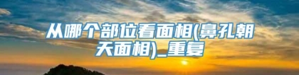 从哪个部位看面相(鼻孔朝天面相)_重复