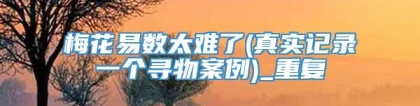 梅花易数太难了(真实记录一个寻物案例)_重复