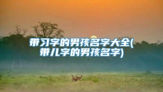 带习字的男孩名字大全(带儿字的男孩名字)