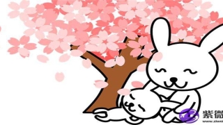 眉骨突出的女人如何