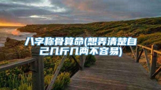 八字称骨算命(想弄清楚自己几斤几两不容易)