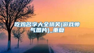 吃鸡名字大全搞笑(游戏帅气图片)_重复