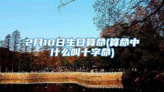 2月10日生日算命(算命中什么叫十字命)