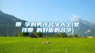 带珣字的男孩名字大全(女孩带珣的好听的名字)