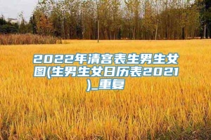 2022年清宫表生男生女图(生男生女日历表2021)_重复