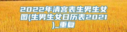 2022年清宫表生男生女图(生男生女日历表2021)_重复