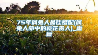75年属兔人最佳婚配(属兔人命中的桃花贵人)_重复