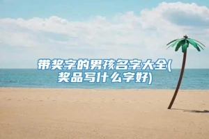 带奖字的男孩名字大全(奖品写什么字好)