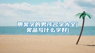带奖字的男孩名字大全(奖品写什么字好)