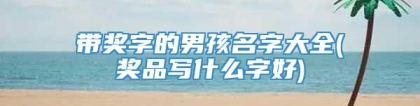 带奖字的男孩名字大全(奖品写什么字好)