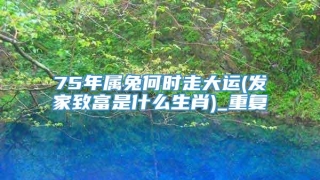 75年属兔何时走大运(发家致富是什么生肖)_重复
