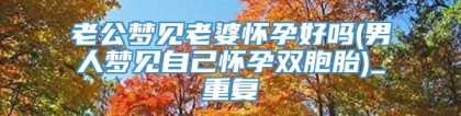 老公梦见老婆怀孕好吗(男人梦见自己怀孕双胞胎)_重复