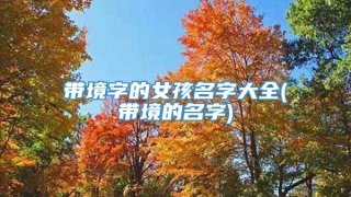 带境字的女孩名字大全(带境的名字)