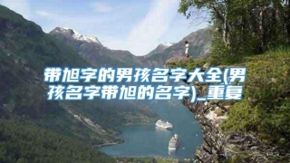 带旭字的男孩名字大全(男孩名字带旭的名字)_重复